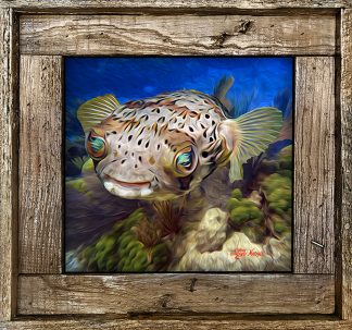 "Puffer On The Reef"