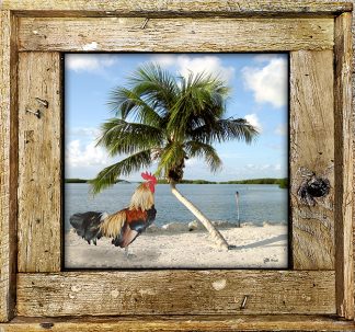"Rooster At Morada Bay"