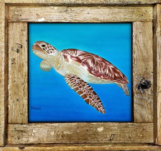 "Sea Dweller "
