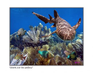"Shark Over The Seafan"