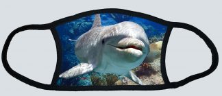 "Smiling Dolphin"