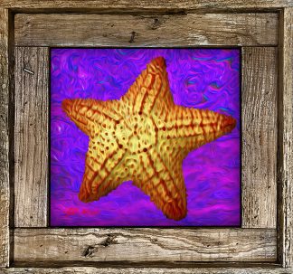 "Starfish With Purple Water"