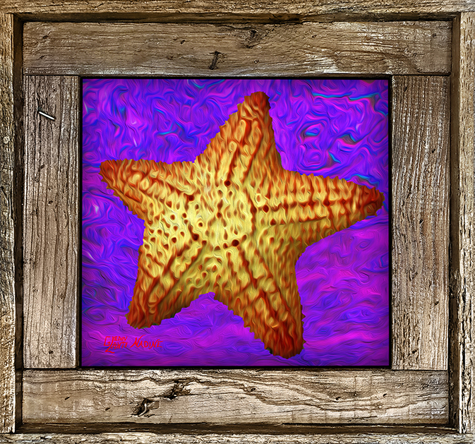 "Starfish With Purple Water"