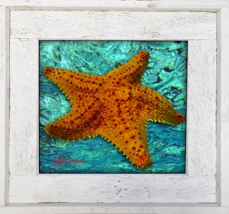 "Starfish With Green Water"