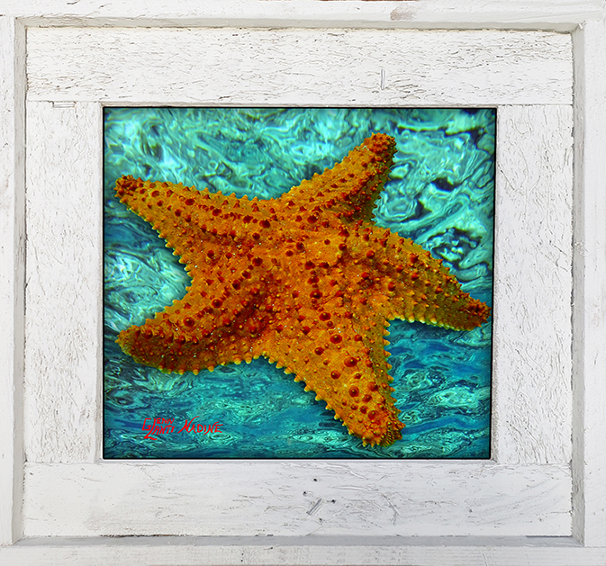 "Starfish With Green Water"