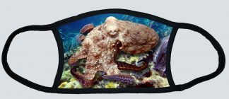 "Strolling Octopus"