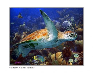 "Turtle In A Coral Garden"