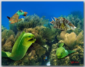 "Two Morays"