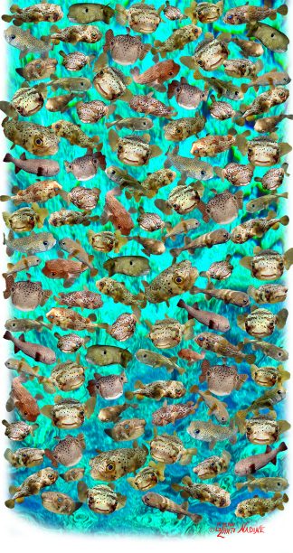 "Pufferfish" Buff
