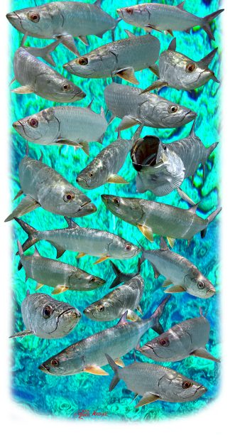 "Tarpon Multi" Buff