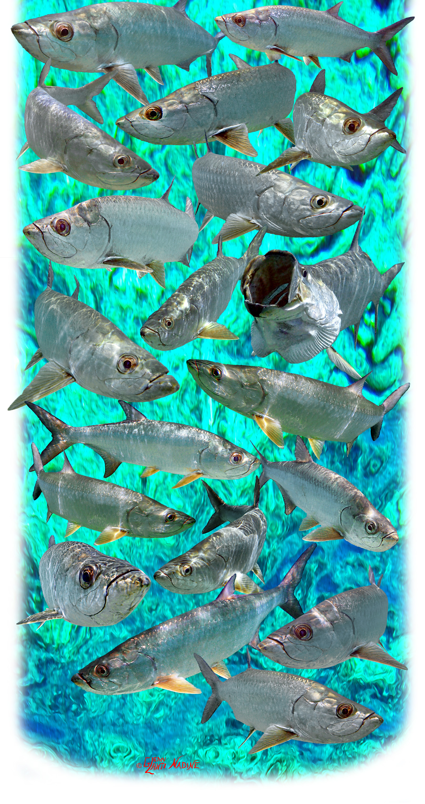 "Tarpon Multi" Buff