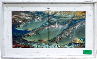 "Three Tarpon in the Shallows" Tile Mural