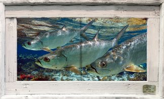 "Three Tarpon in the Shallows" Tile Mural