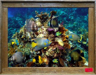 "Angels of the Reef" Tile Mural