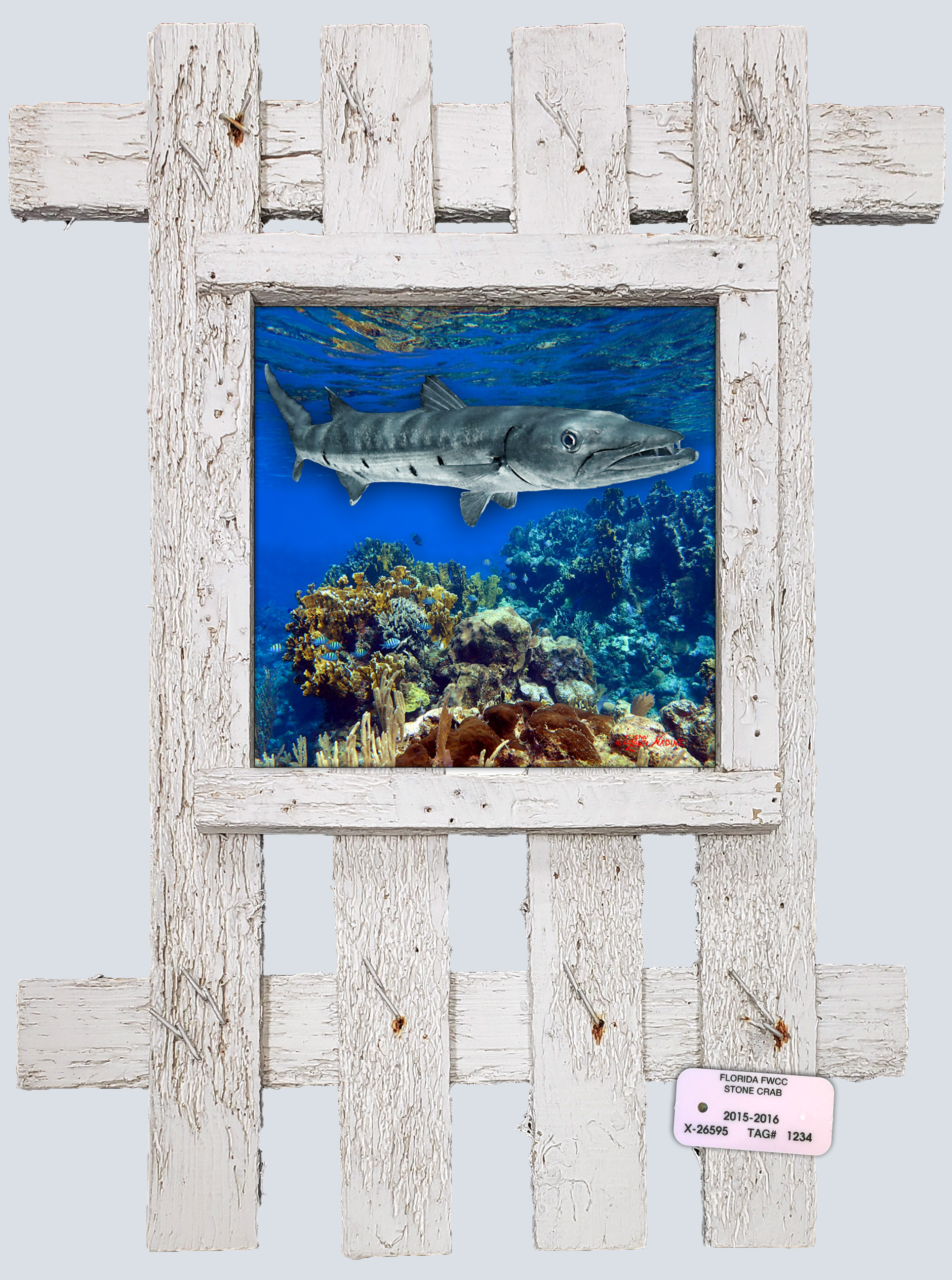 "Barracuda"
