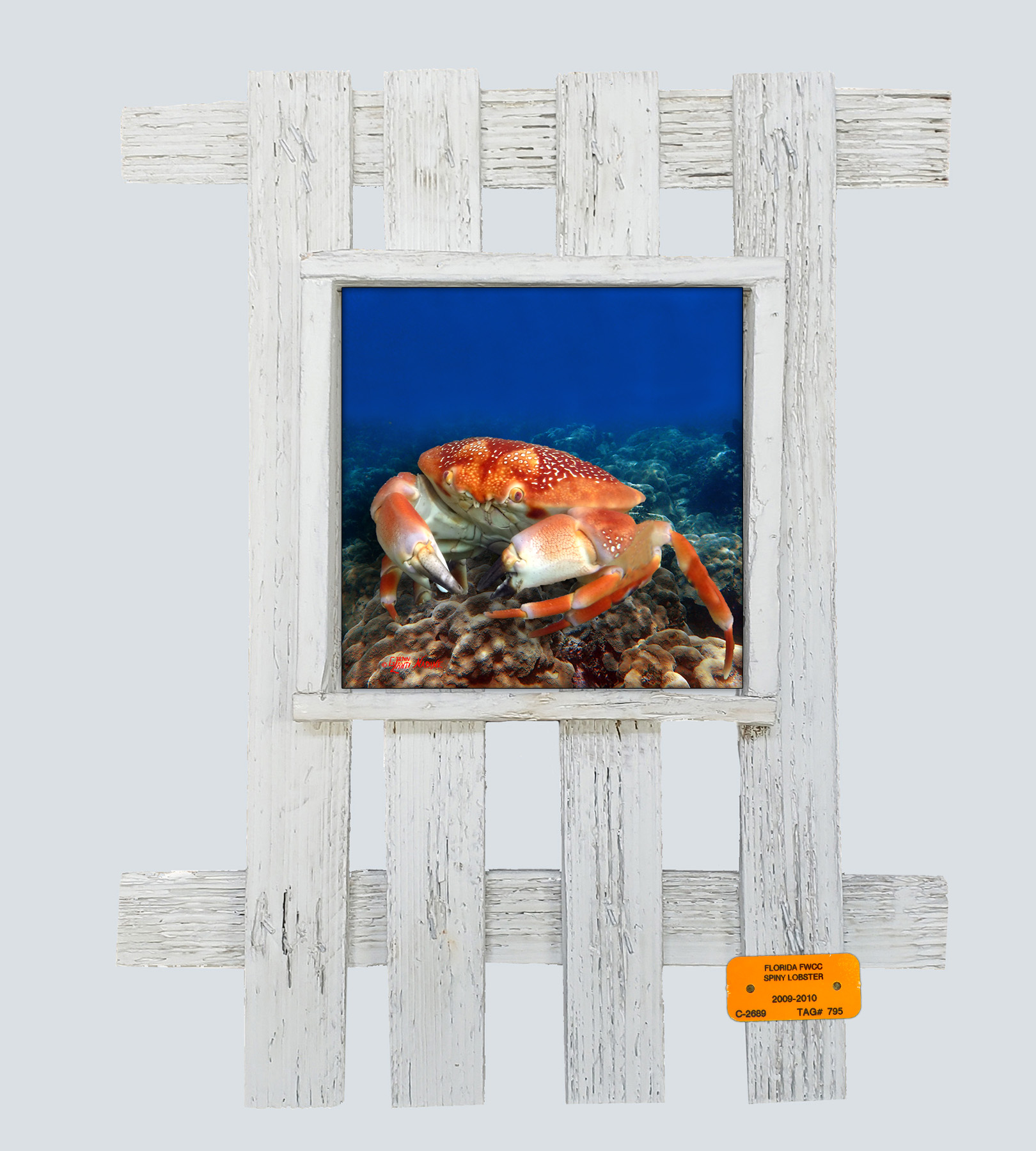 "Bat Crab"