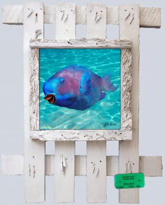 "Blue Coral Cruncher"
