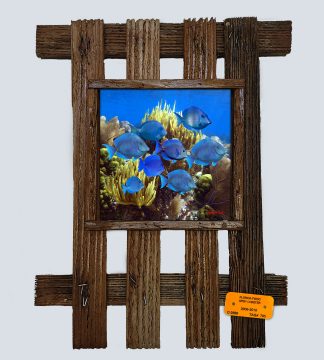"Blue Tang School"
