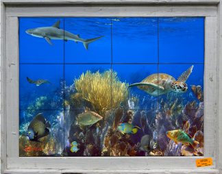 "Carysfort Reef Key Largo" Tile Mural