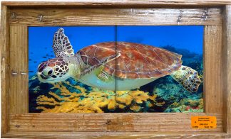 "Cruising Over The Reef" Tile Mural