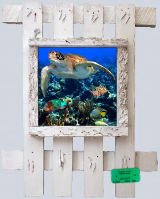 "Distant Reef"