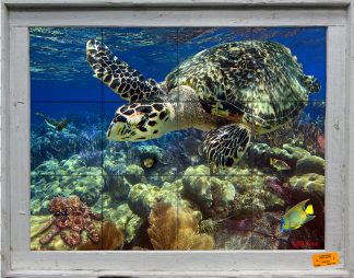 "Diving Hawksbill Turtle" Tile Mural