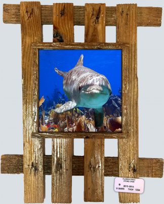 "Dolphin Diving Deep"