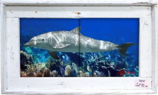 "Dolphin Over The Reef" Tile Mural