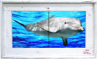 "Dolphin With Surface Water" Tile Mural