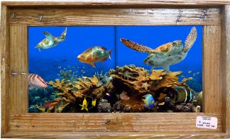 "Elkhorn Cluster Reef" Tile Mural