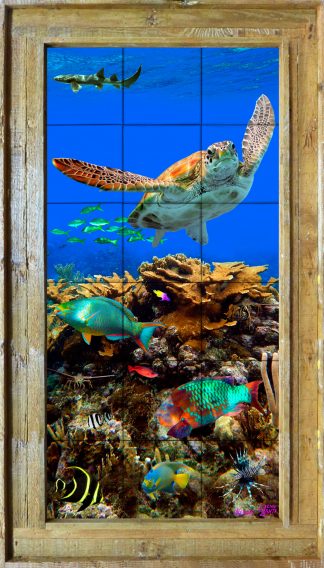 "ELKHORN REEF 2"