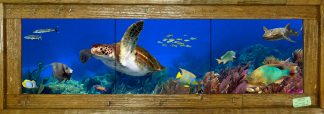 "Key Largo Reef" Tile Mural