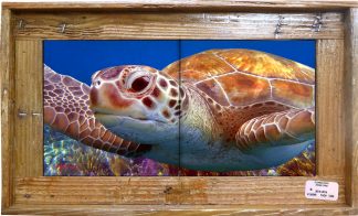 "La Tortuga" Tile Mural