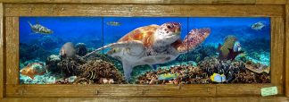 "Lettuce Coral Reef" Tile Mural