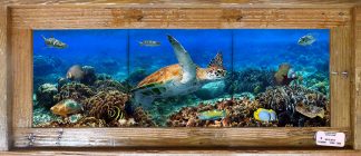 "Lettuce Coral Reef" Tile Mural