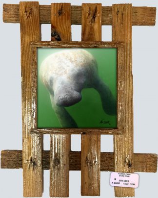 "Manatee on the Move"