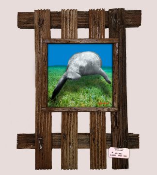 "Manatee Over The Grass"