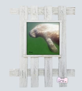 "Manatee Swimming"