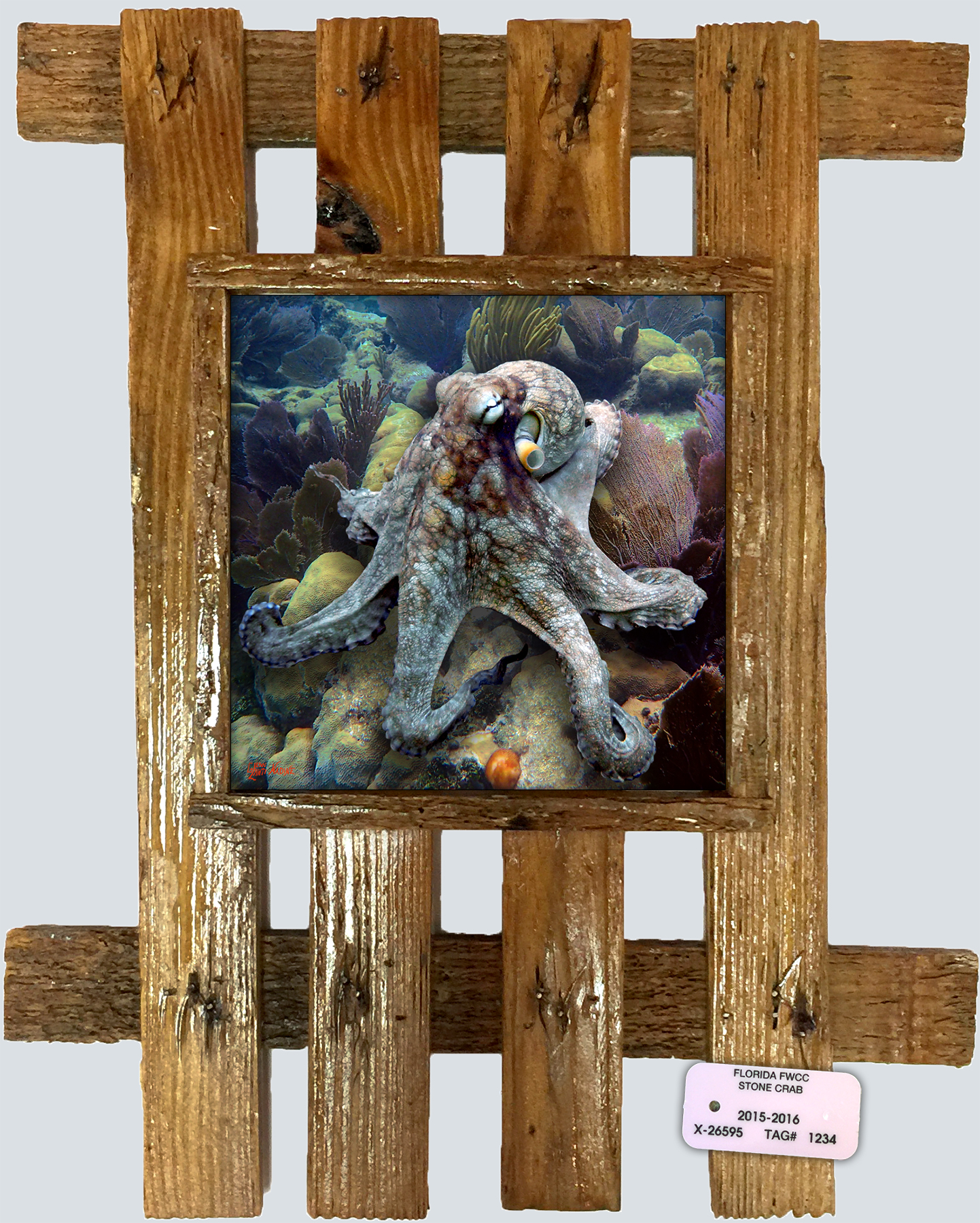"Octopus Among the Seafans"