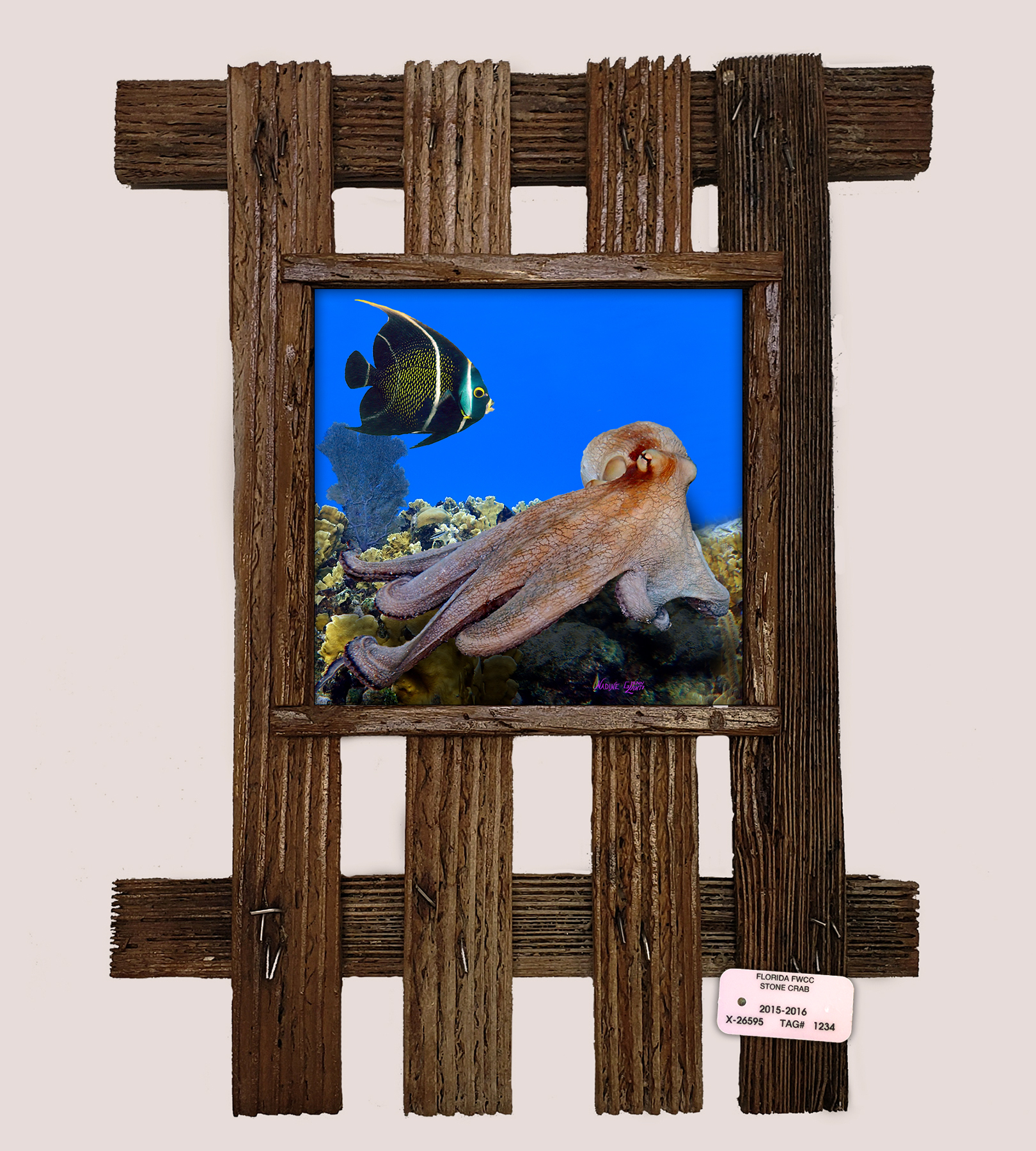 "Octopus and Frenchie"