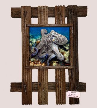 "Octopus in the Deep"