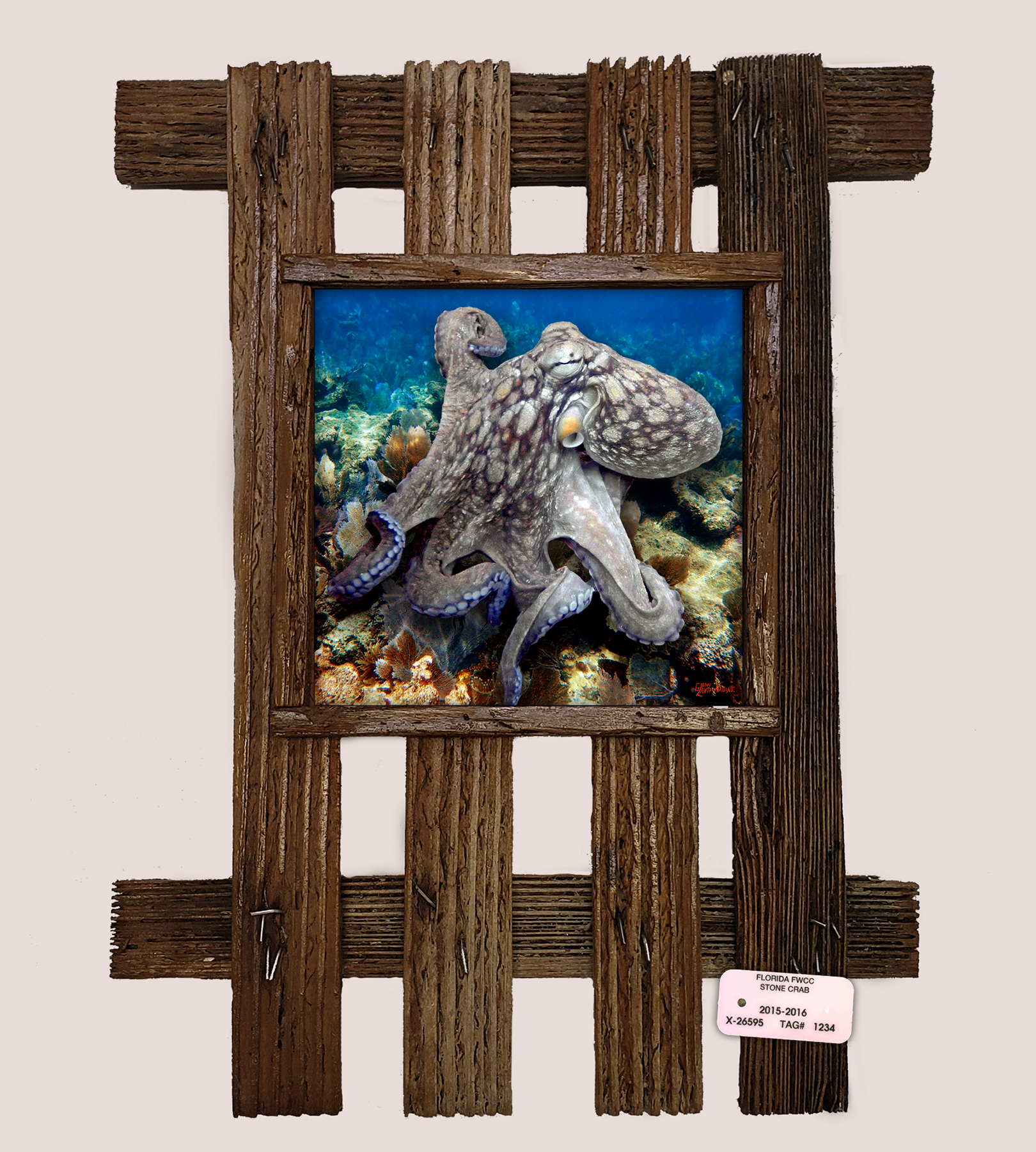 "Octopus in the Deep"