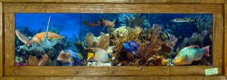 "Patch Reef" Tile Mural