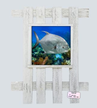 "Permit in the Shallows"