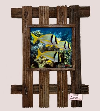 "Porkfish School"