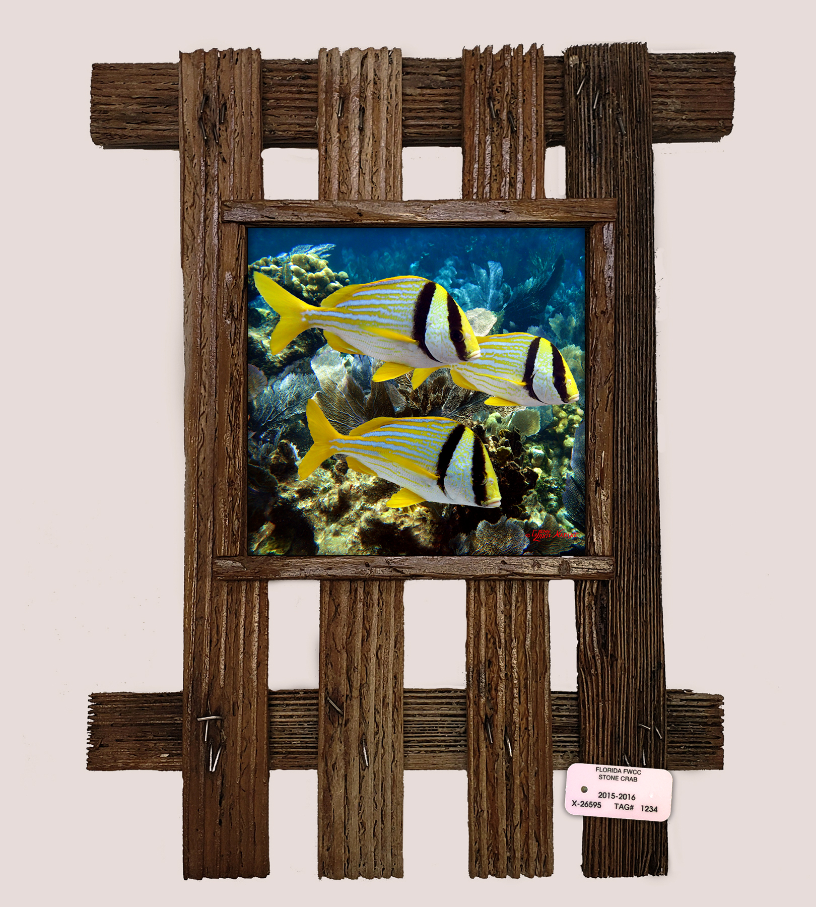"Porkfish School"