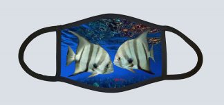"Spadefish"