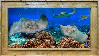 "STINGRAY CITY REEF" TILE MURAL