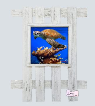 "Turtle and Butterflies"