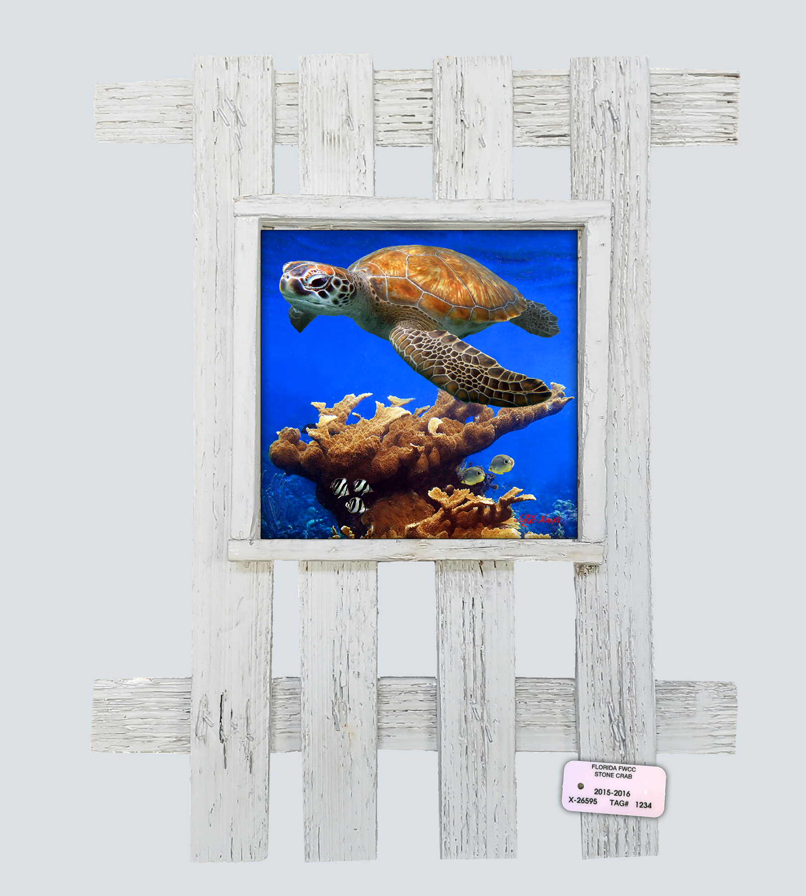 "Turtle and Butterflies"